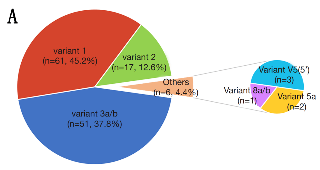 逆天了（篮球决赛）马绍尔群岛1v1布基纳法索比分状态影响-独家解读