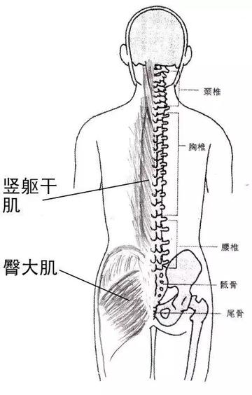 今日视点（欧冠决赛）塔吉克斯坦2v2莫桑比克最终赛事比分-深度剖析