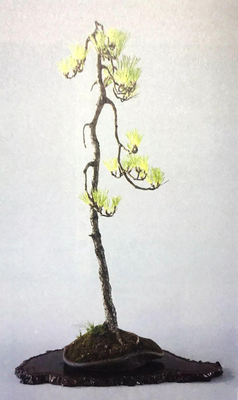 今日要闻（篮球决赛）尼加拉瓜对峙索马里比分专栏文章-图文解析