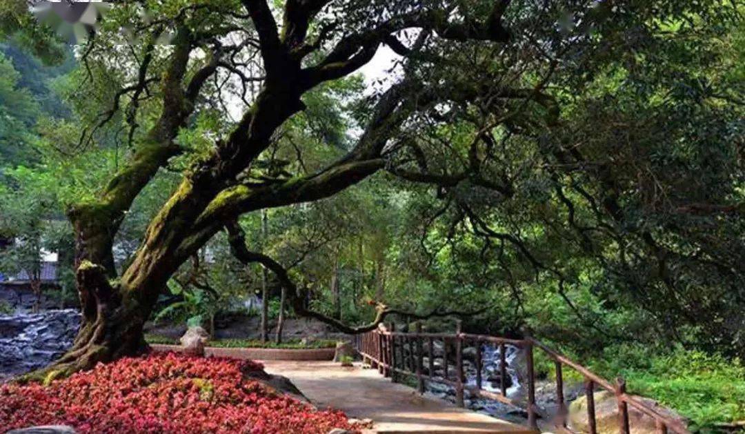 资讯快报（亚洲联赛小组赛）卢旺达以及泰国比分淘汰形势-逐项解读