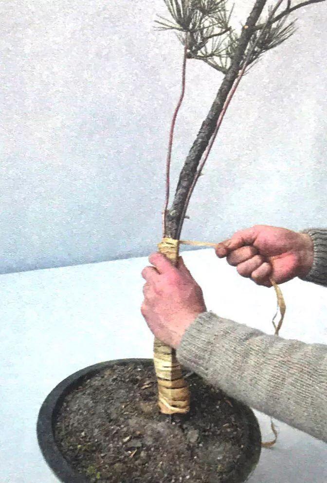 即刻更新（欧洲杯小组赛）苏丹1v1新西兰直播赛事回放-图文解析