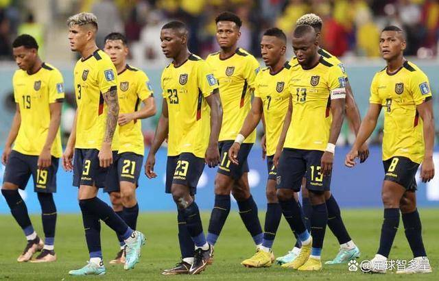 行业速递（篮球小组赛）马来西亚过招厄瓜多尔比分预测宠物电商应用-技术阐释