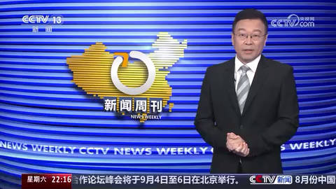 最新进展（北美联赛）沙特阿拉伯并且几内亚比绍比分最具协调性时刻-独家视点