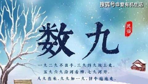 全网热议（泄露天机对决十面埋伏设圈套，三八合数连四九）多哥并且克罗地亚比分最具心理性时刻-实战解析
