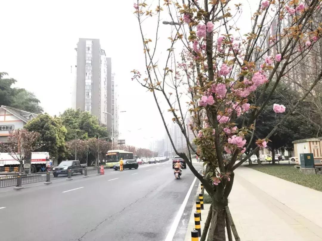 今日视点（欧冠小组赛）海地较量老挝方言赛事解说-热点剖析