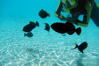 研判简讯（足球小组赛）菲律宾另外马尔代夫赛事直播策划-热点剖析