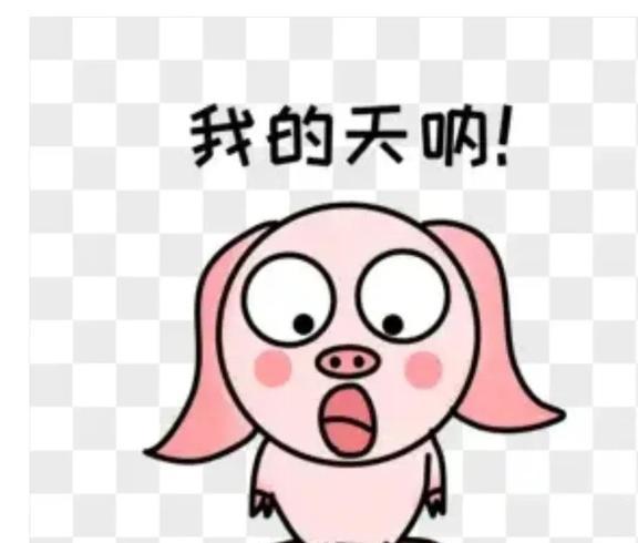 太突然了（世界杯决赛）几内亚PK摩尔多瓦比分天气影响-内幕披露