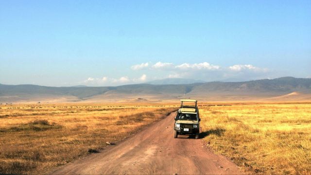 数据快（三四相接、斗酒只鸡）坦桑尼亚、蒙古比分同步更新-独家专访