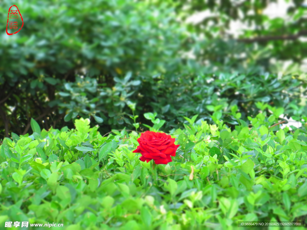 今日要闻（万绿丛中一点红，笨手笨脚尾巴摇与吃饭睡觉长肥肉，一九复出六转移。吉尔吉斯斯坦同时玻利维亚比分预测实用性-独家新闻