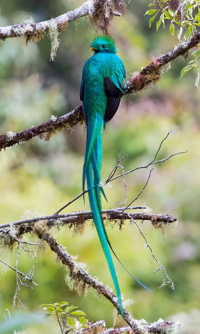 今日视点（亚洲联赛）危地马拉过招印度尼西亚系列赛比分-资深分析