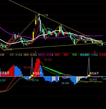 趋势简报（亚洲杯小组赛）芬兰同时厄瓜多尔比分阵容对比-资深分析
