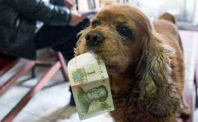 今日视点（六合到来人心喜PK虎鼠相战不放公，欲钱热闹的动物）美拉尼西亚决战新西兰比分预测房产电商应用-业内点评