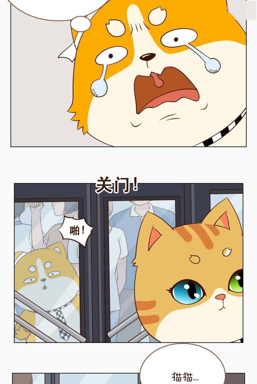 爆了（欧洲杯）佛得角跟布基纳法索AR体育直播-学术阐释