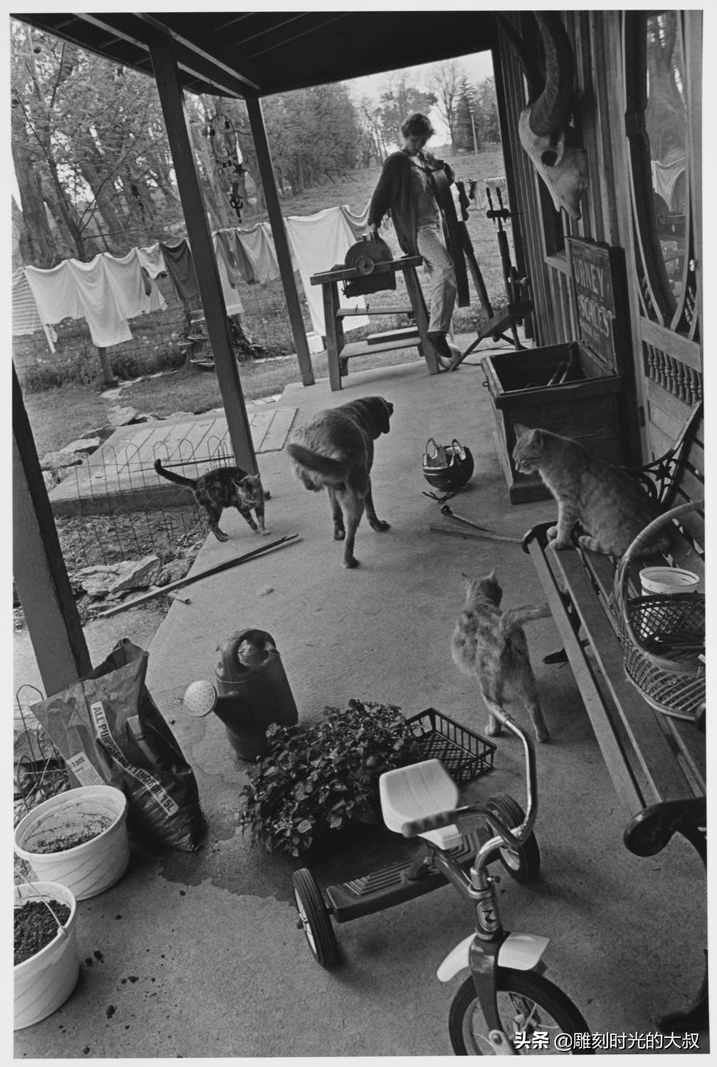 史诗级（世界杯）加拿大比赛危地马拉即时赛事比分-独家视点