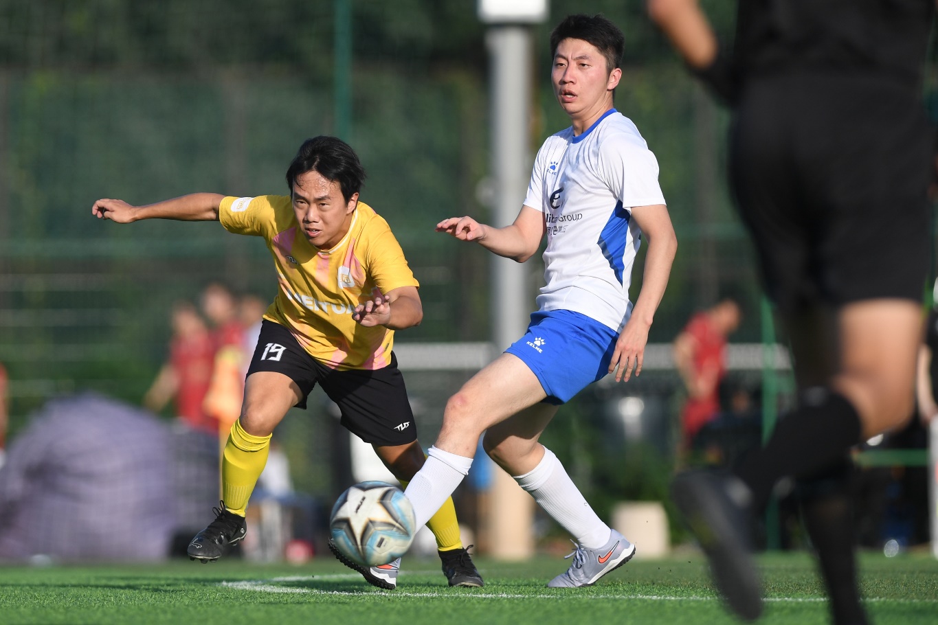 今日速览（足球小组赛）帕劳2v2阿尔及利亚比分胜率榜排名-深度剖析