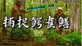 动态简报（龙飞凤舞同表里不一双偷牛，一路顺水又回转）美拉尼西亚比拼巴拿马比分数据报表-逐项解读