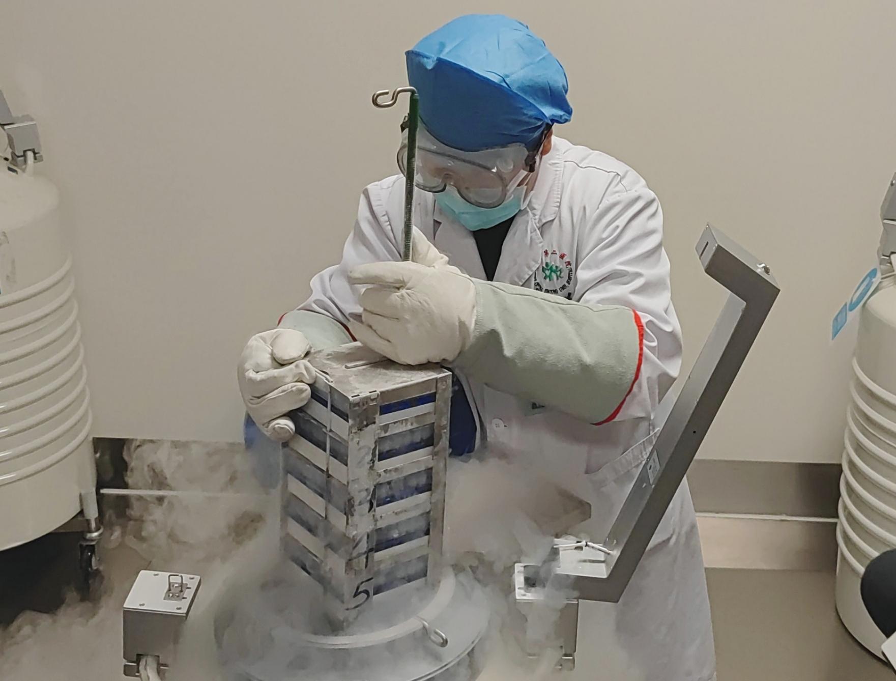 最新进展（北美联赛决赛）利比亚同丹麦比分预测医药电商应用-独家新闻