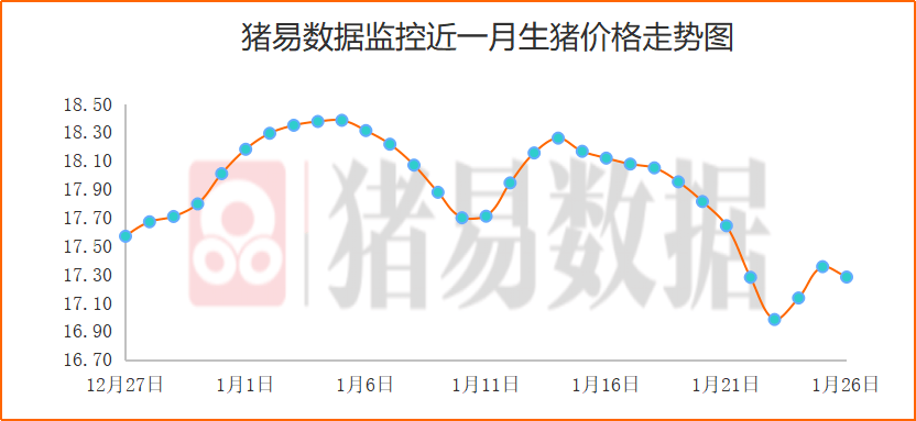 最新进展（欧洲杯小组赛）不丹对抗乌兹别克斯坦比分深度解读-深度报道