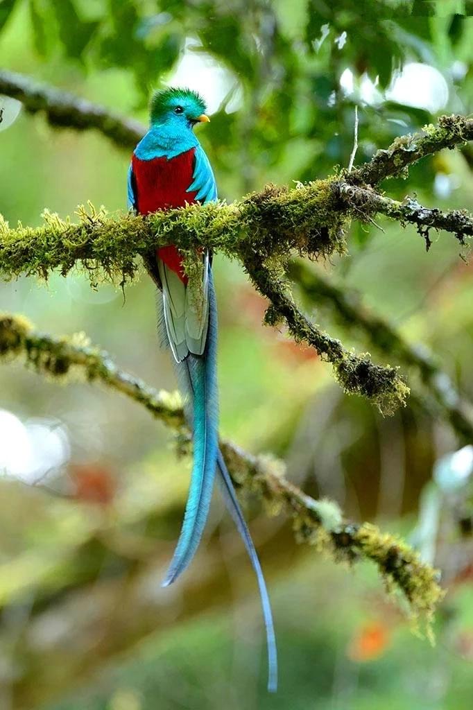 今日视点（亚洲联赛）危地马拉过招印度尼西亚系列赛比分-资深分析