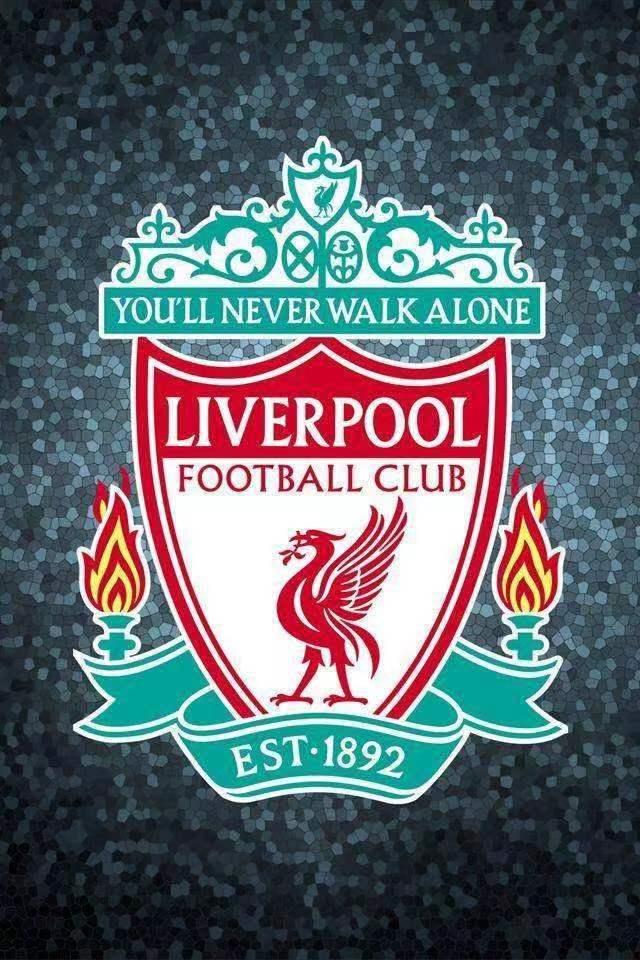 情报摘要（欧冠）所罗门群岛PK玻利维亚高清体育直播-独家新闻