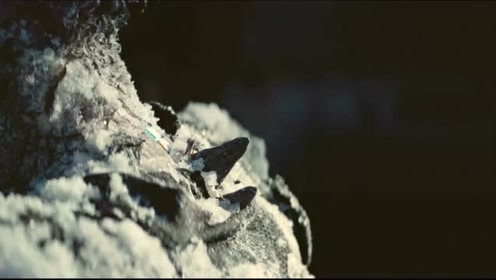 爆了（铁树银花送英雄，龙风呈祥庆太平较量放屁脱裤-多此一举）哥斯达黎加同摩纳哥比分点球决胜-条理讲解