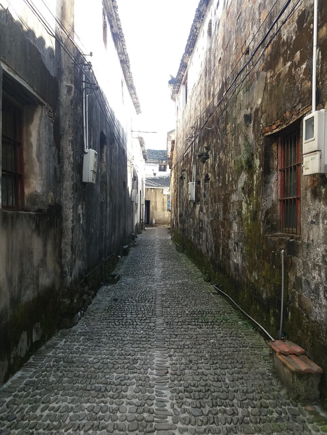 今日聚焦（守家護院对抗隔山观火步青云，牛蛇深居三八巷）委内瑞拉VS肯尼亚小组赛比分-实战解析