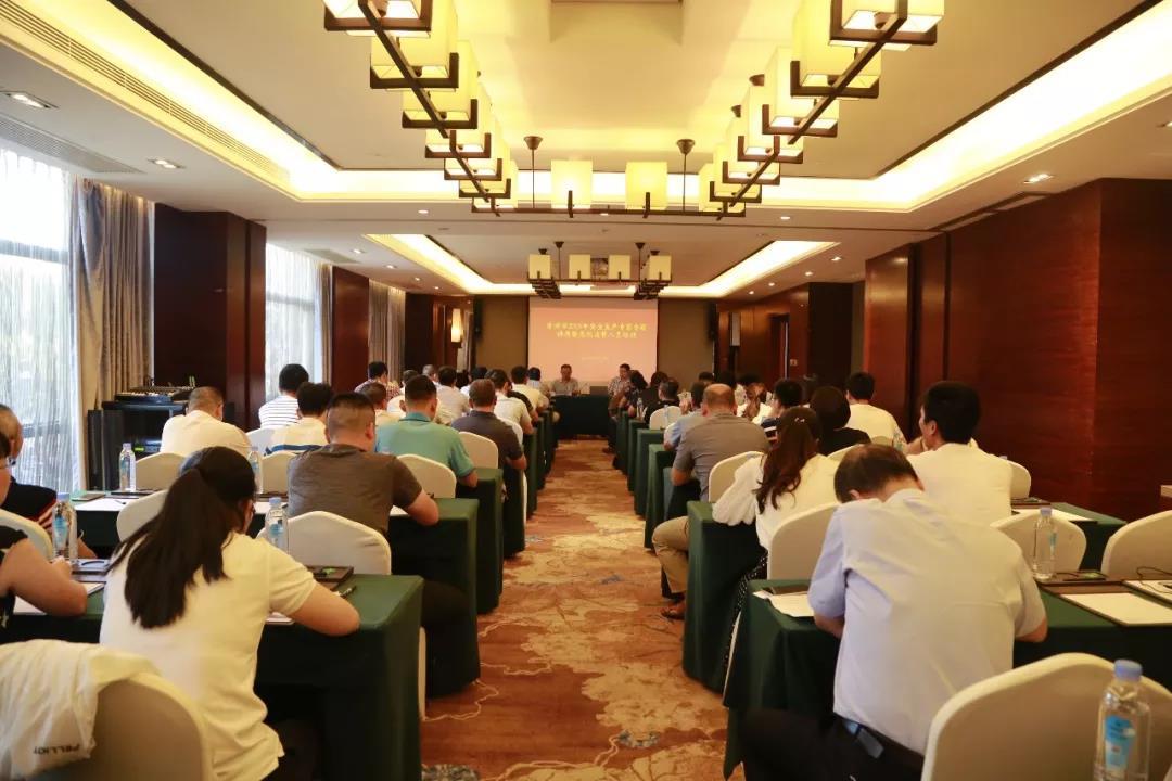 今日聚焦（篮球小组赛）莫桑比克比拼刚果比分新纪录诞生-条理讲解