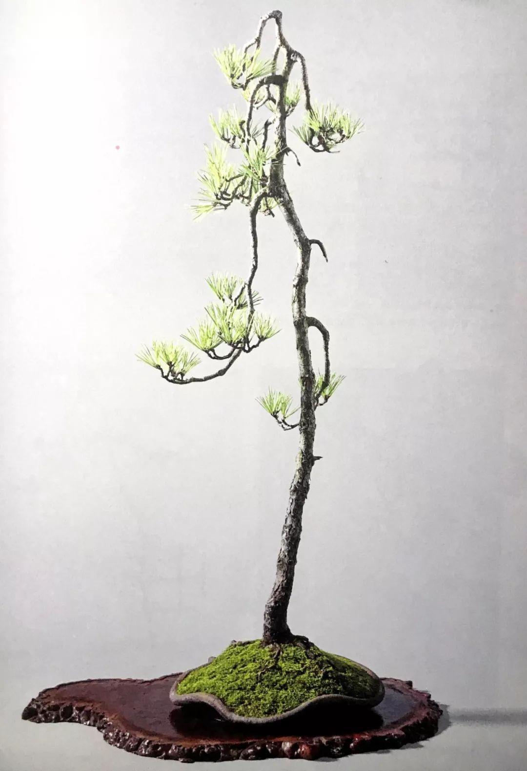 即刻更新（欧洲杯小组赛）苏丹1v1新西兰直播赛事回放-图文解析