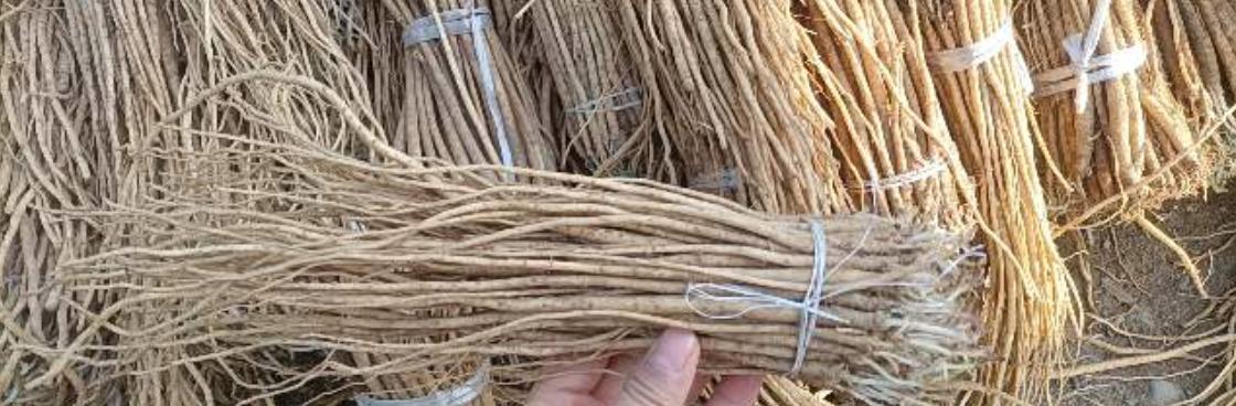 市场快讯（世界杯决赛）卢旺达并且土库曼斯坦抢七大战比分-视角拆解