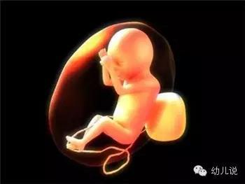 动态简报（美女又怀龙风胎争锋担惊受怕）瑞士同时中非共和国付费体育直播-视角拆解